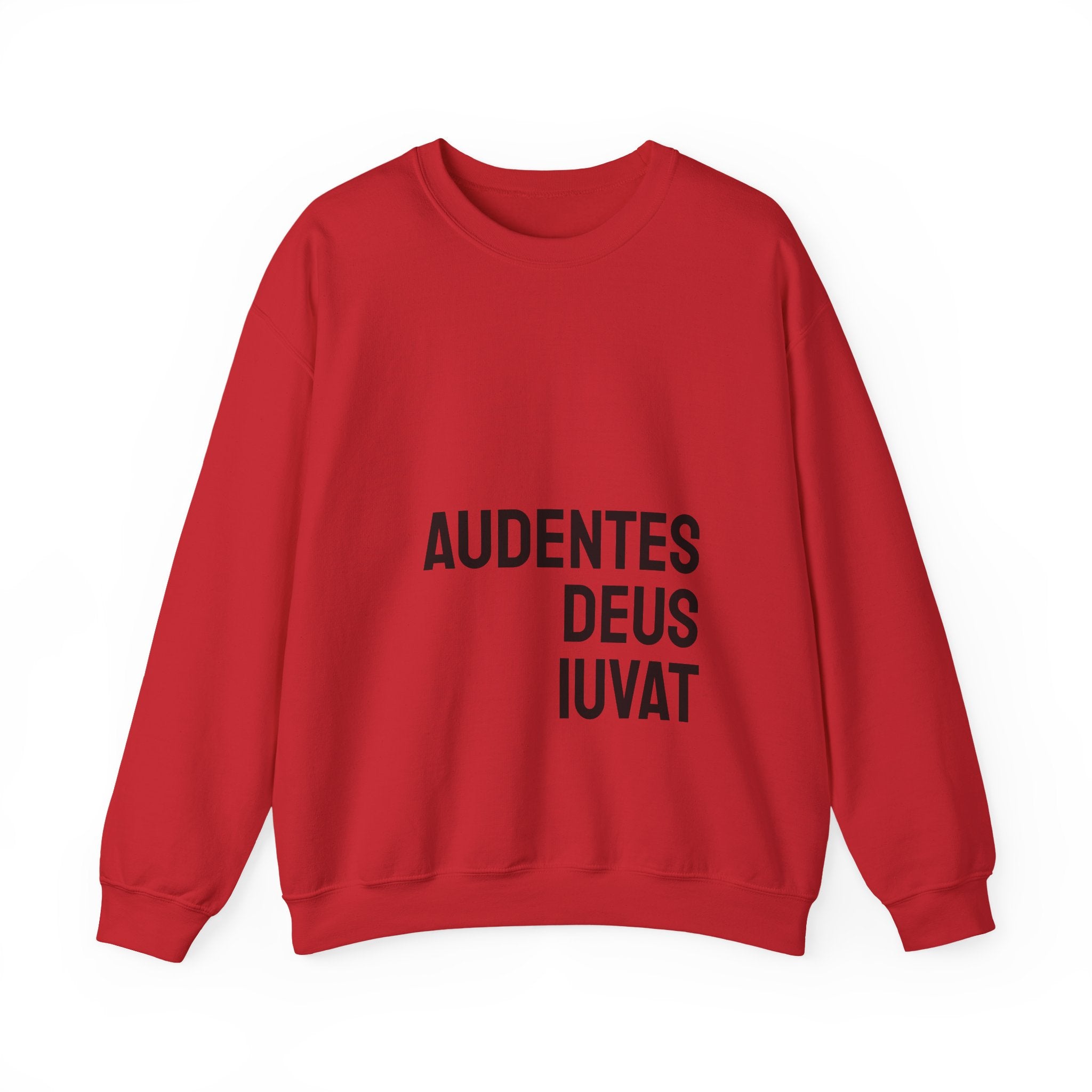 AUDENTES DEUS IUVAT – Signature Tee