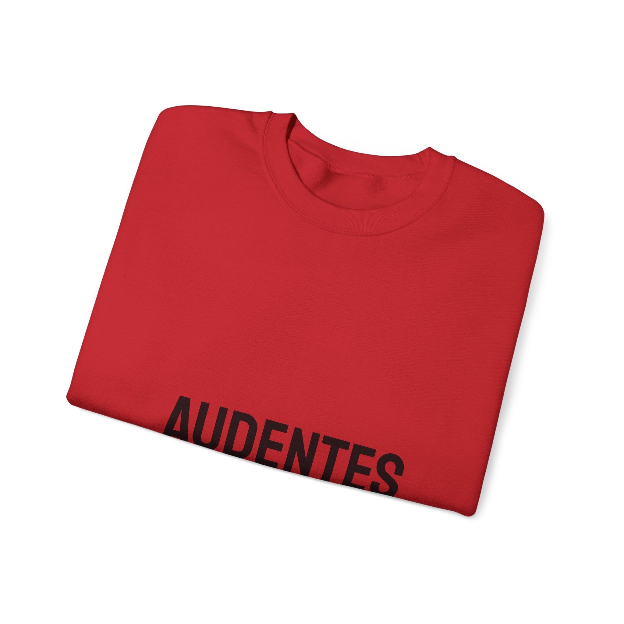 AUDENTES DEUS IUVAT – Signature Tee